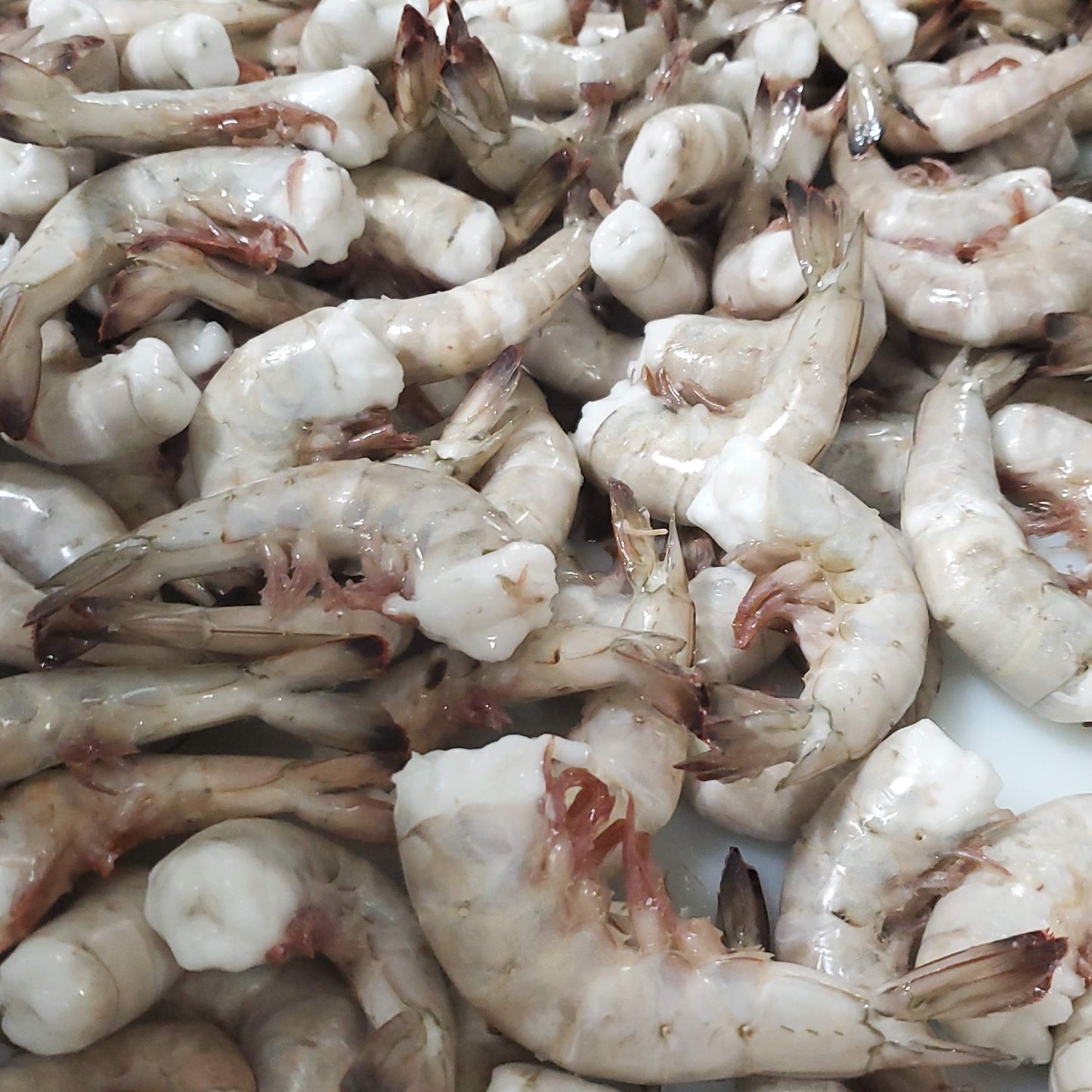 Shrimp Shell-On "Jumbo" 5-lb Bags Frozen